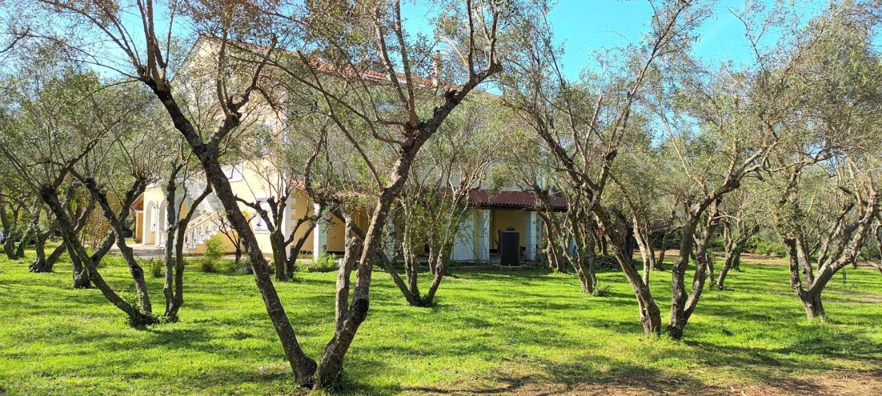 Ferienwohnung Antonios Olive Garden Acharavi Kerkyra Exterior foto